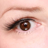 Eyeling Dark Brown pruunid kontaktläätsed